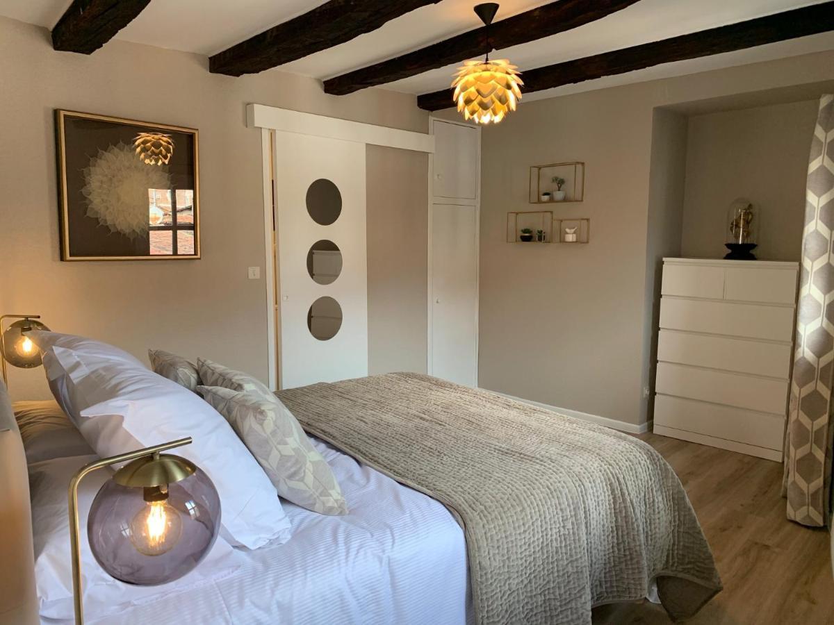 Apartment Cathedrale Albi