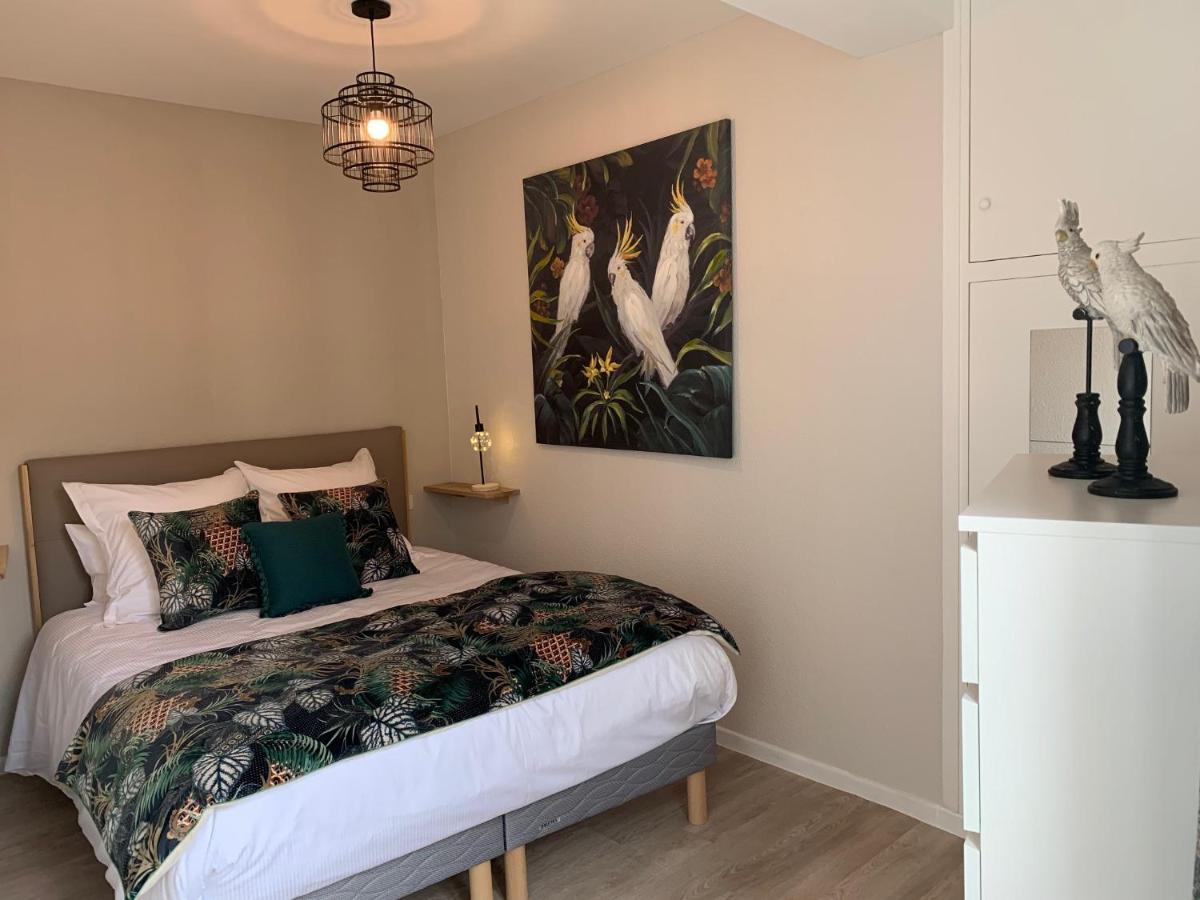 Apartment Cathedrale Albi