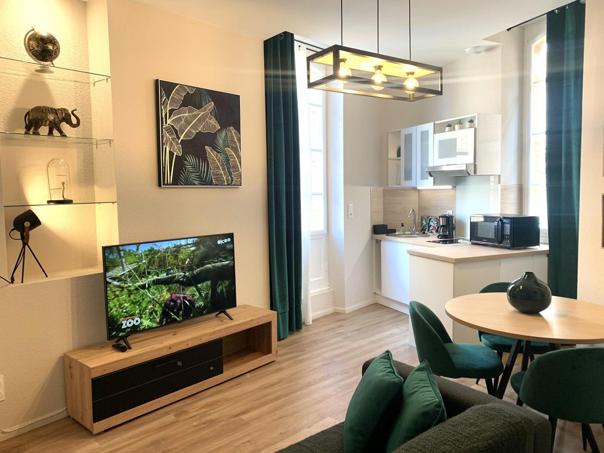 Cathedrale Apartment Albi