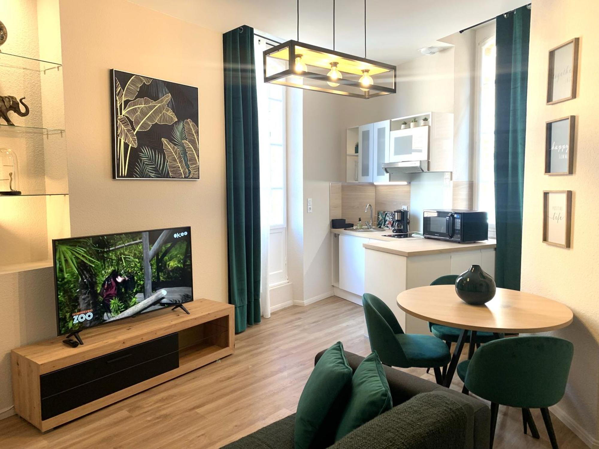 Cathedrale Apartment Albi